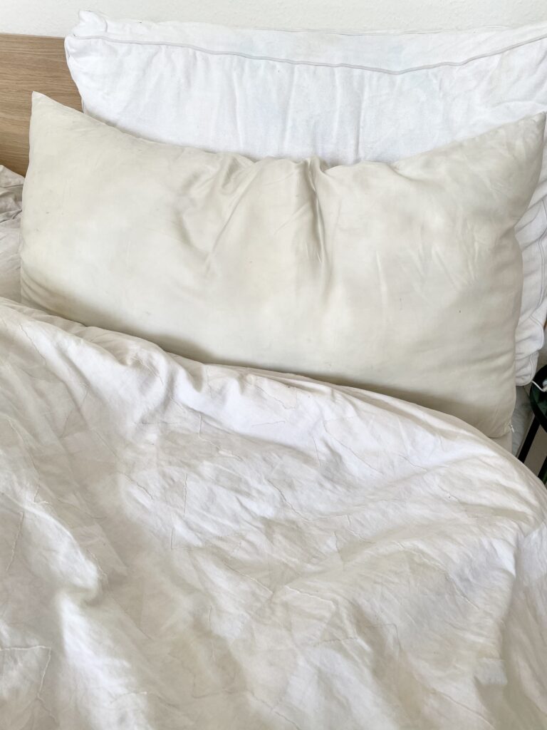 Blissy Silk Pillowcase Review 2024 + Discount Code Organic Beauty Lover