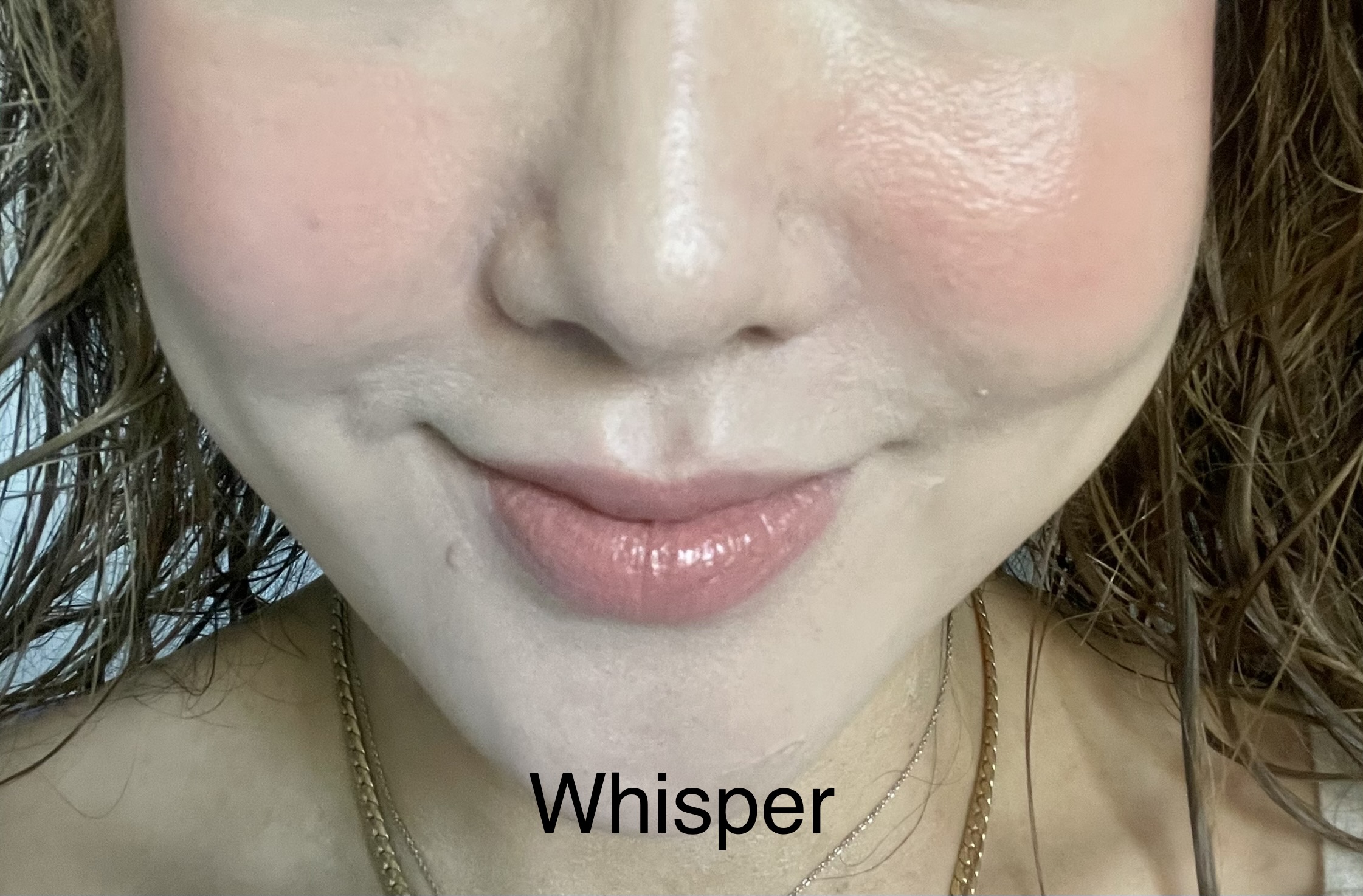 Ilia multi stick whisper