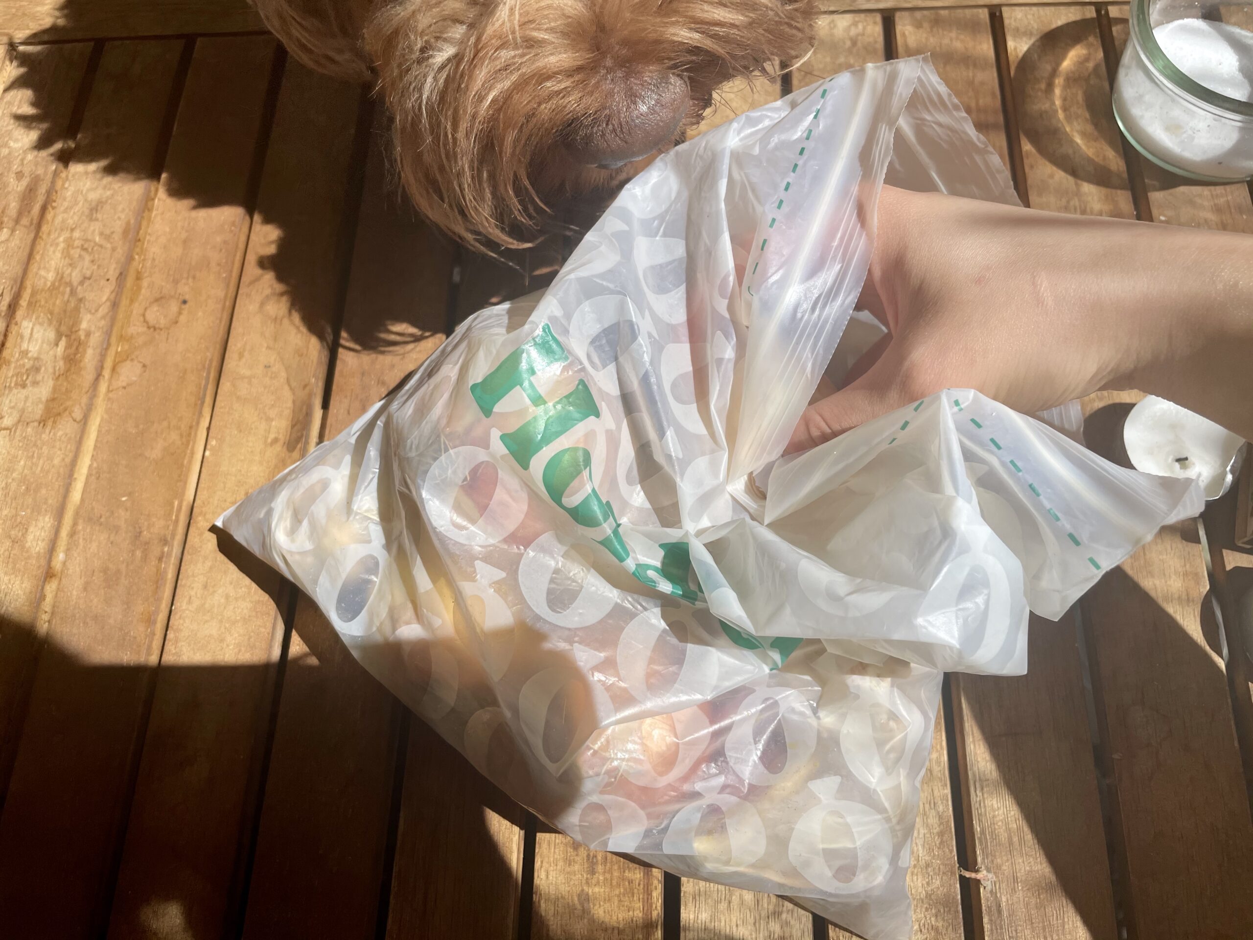 How I've Incorporated HoldOn Compostable Bags Within My Home