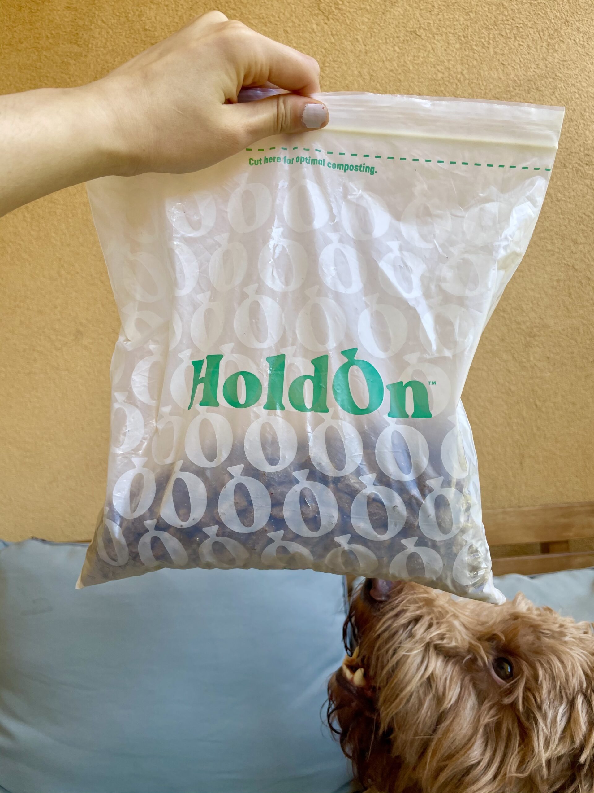 HoldOn Compostable Bags Review + Discount Code - Organic Beauty Lover