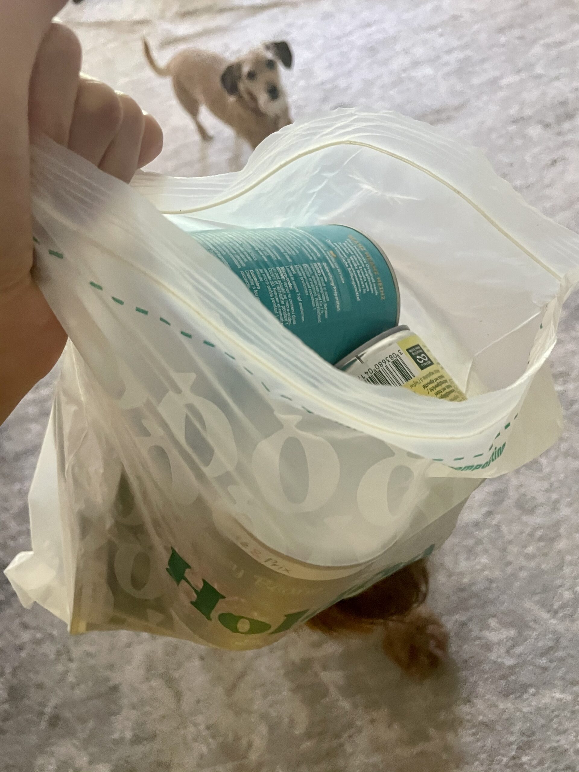 How I've Incorporated HoldOn Compostable Bags Within My Home