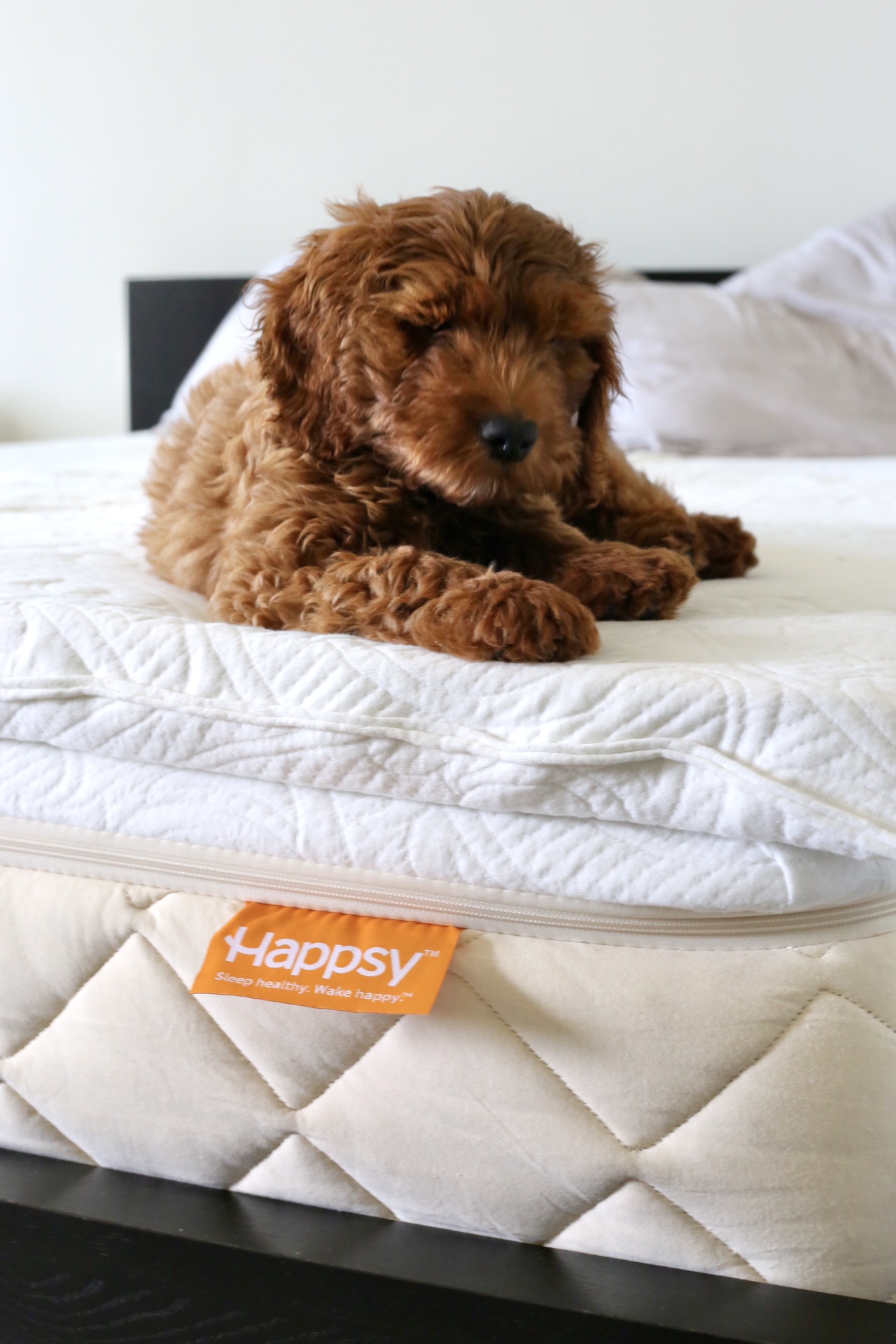 Happsy Organic Mattress Review: Why I Love Mine 2024