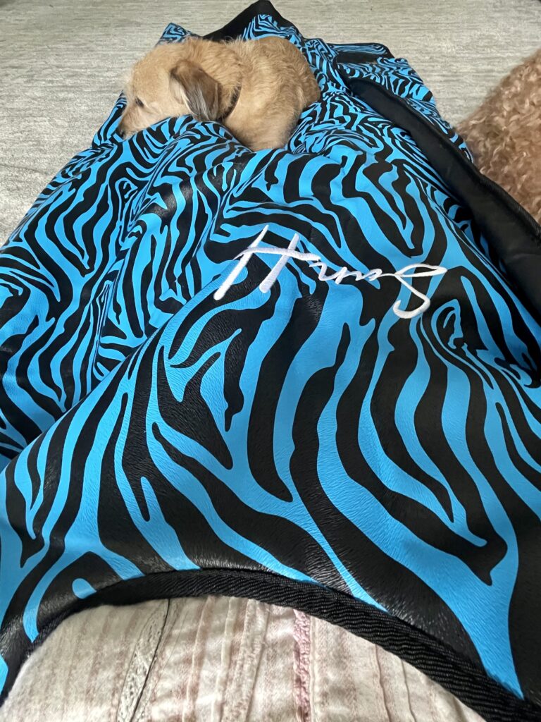 Sun home sauna infrared blanket