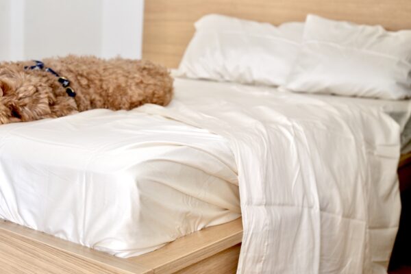 12 Best Organic Sheets For An Eco-Friendly Bed (I Tested Them All ...