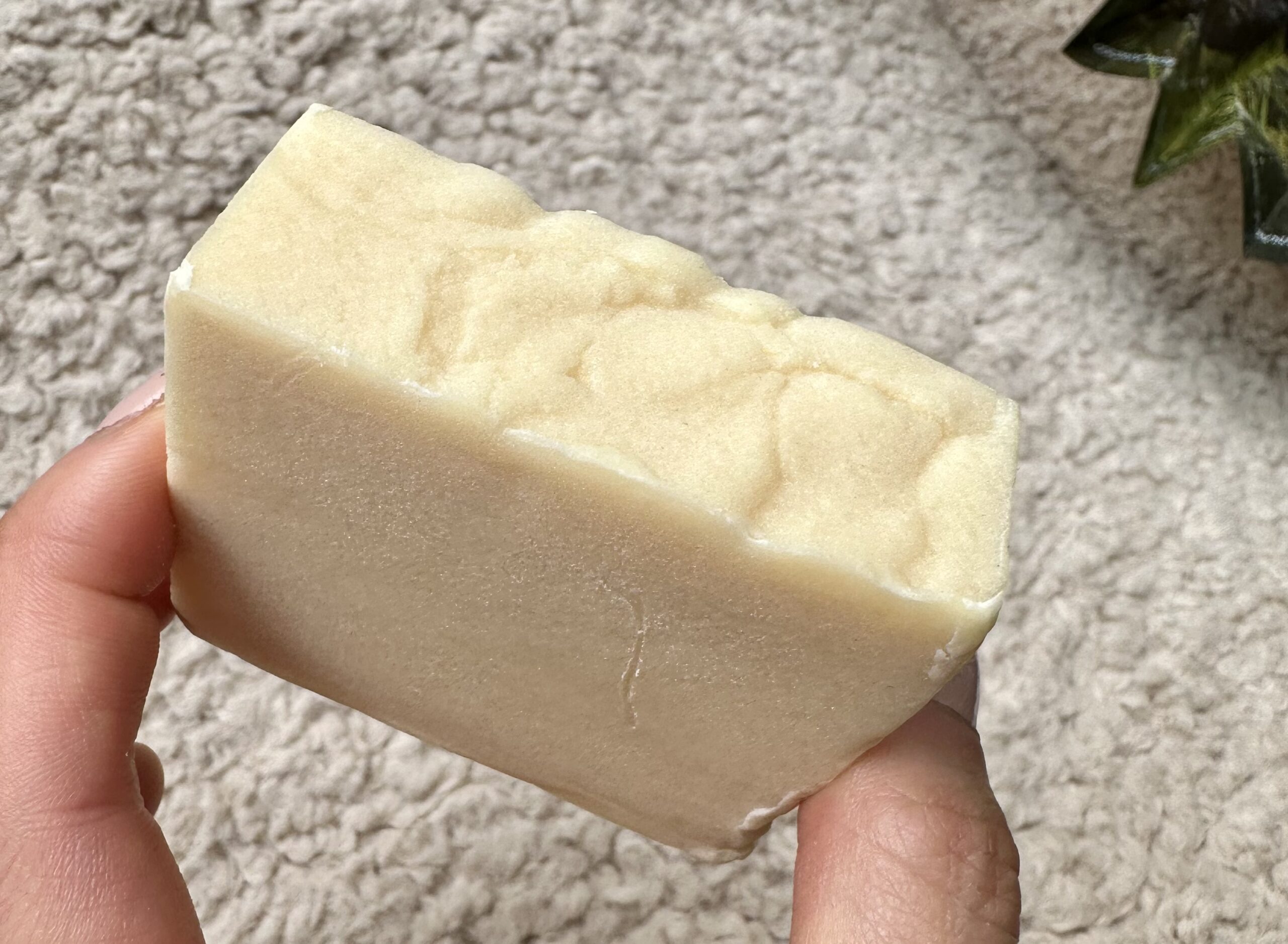 Viori Shampoo Bar Review + Discount Code Organic Beauty Lover