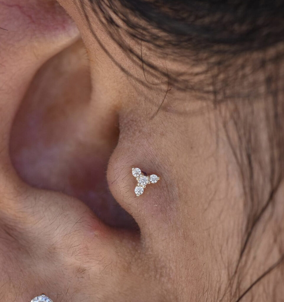 ear piercing types