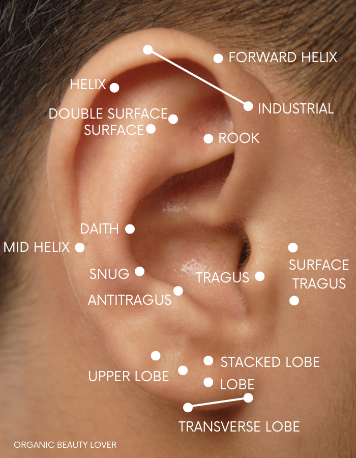 ear piercing guide