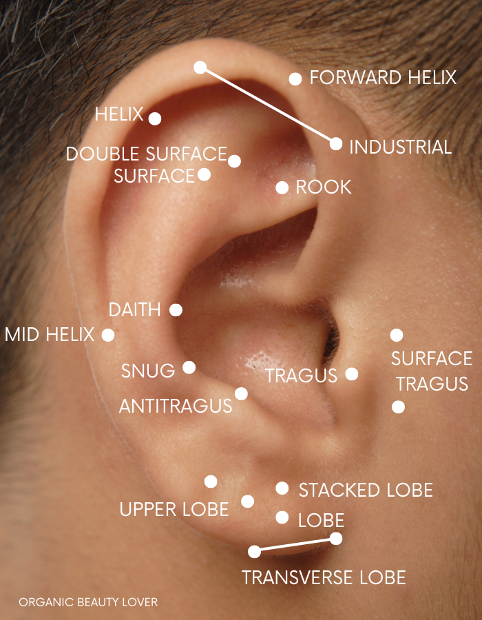 different types of cute ear piercings