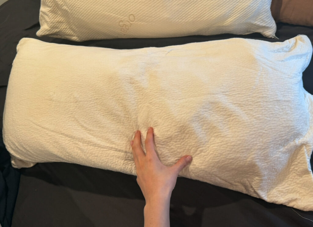 birch organic pillow