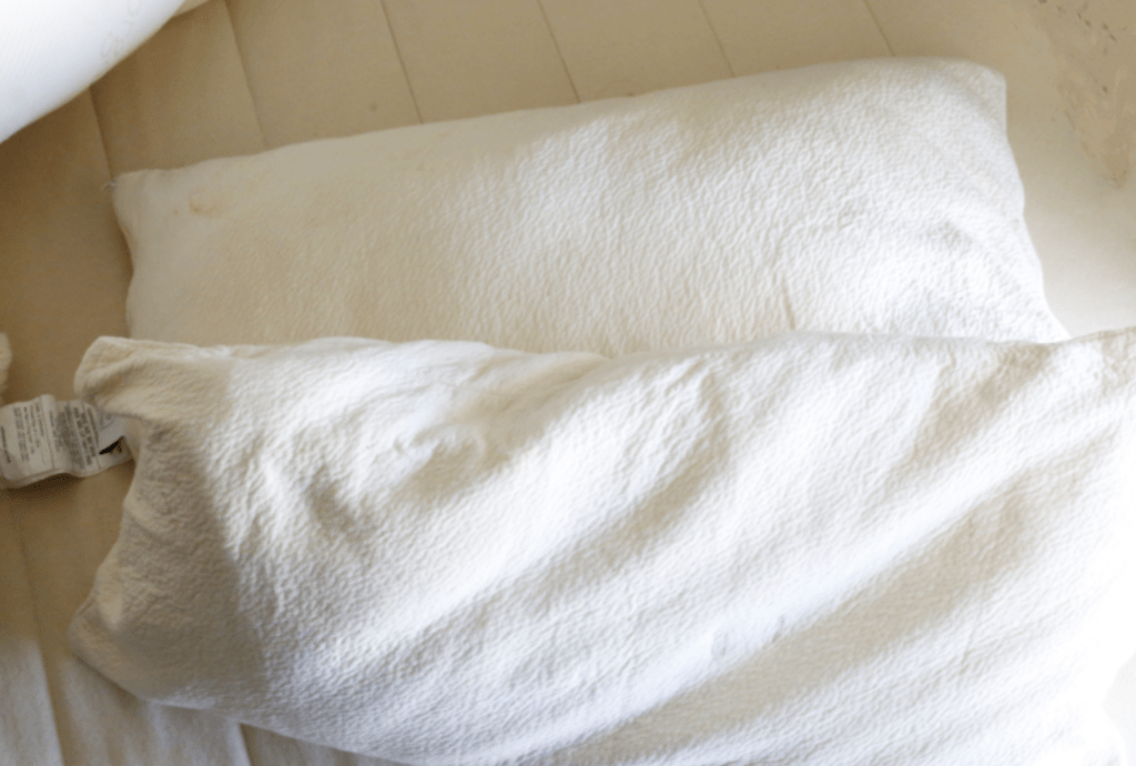 Birch Organic Pillow in King size