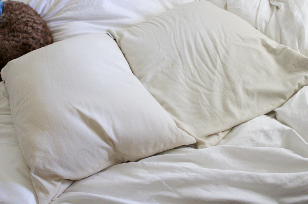 Circadian Rest Buckwheat Pillow and Buckwool Pillow