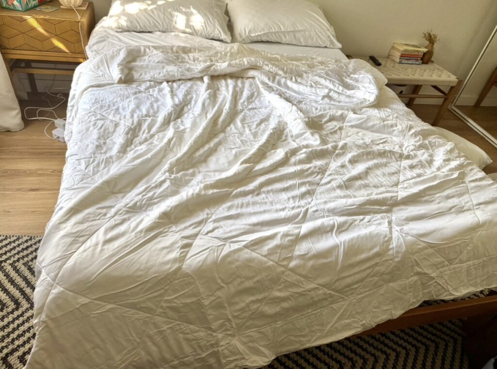 Cozy Earth Bamboo Comforter non toxic viscose