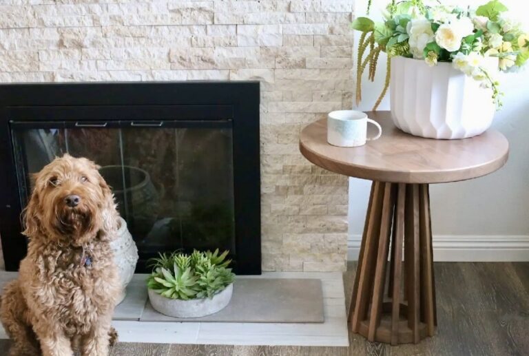 nontoxic furniture eco friendly sustainable