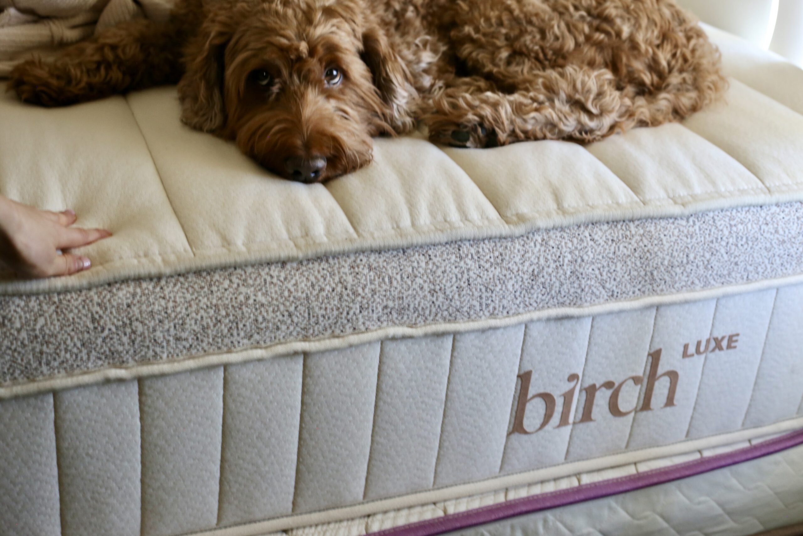 I Switched to the Birch Mattress