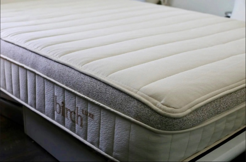 Birch organic Mattress nontoxic