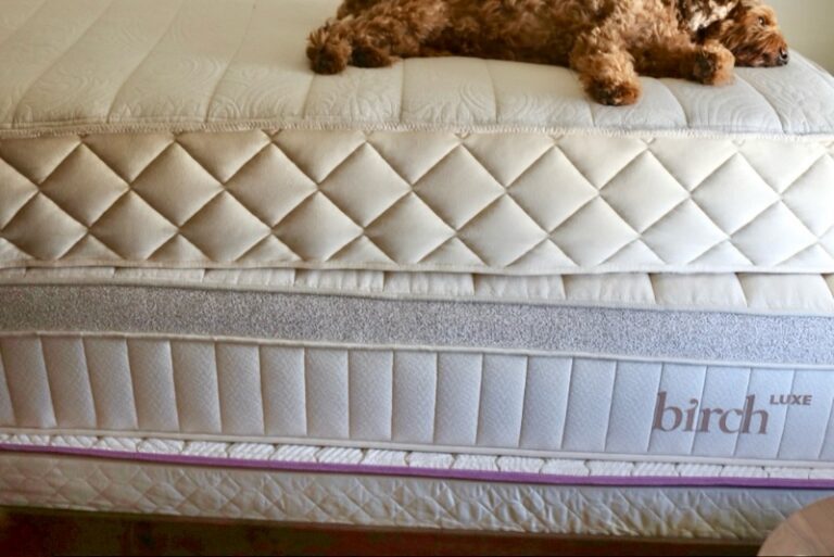 non toxic mattress brands