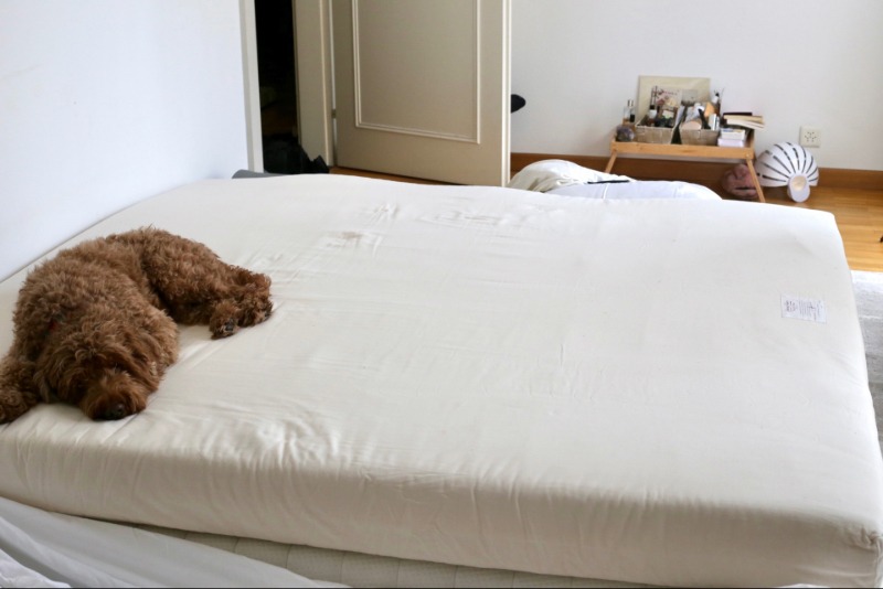 Soaring Heart Organic Latex Mattress king size