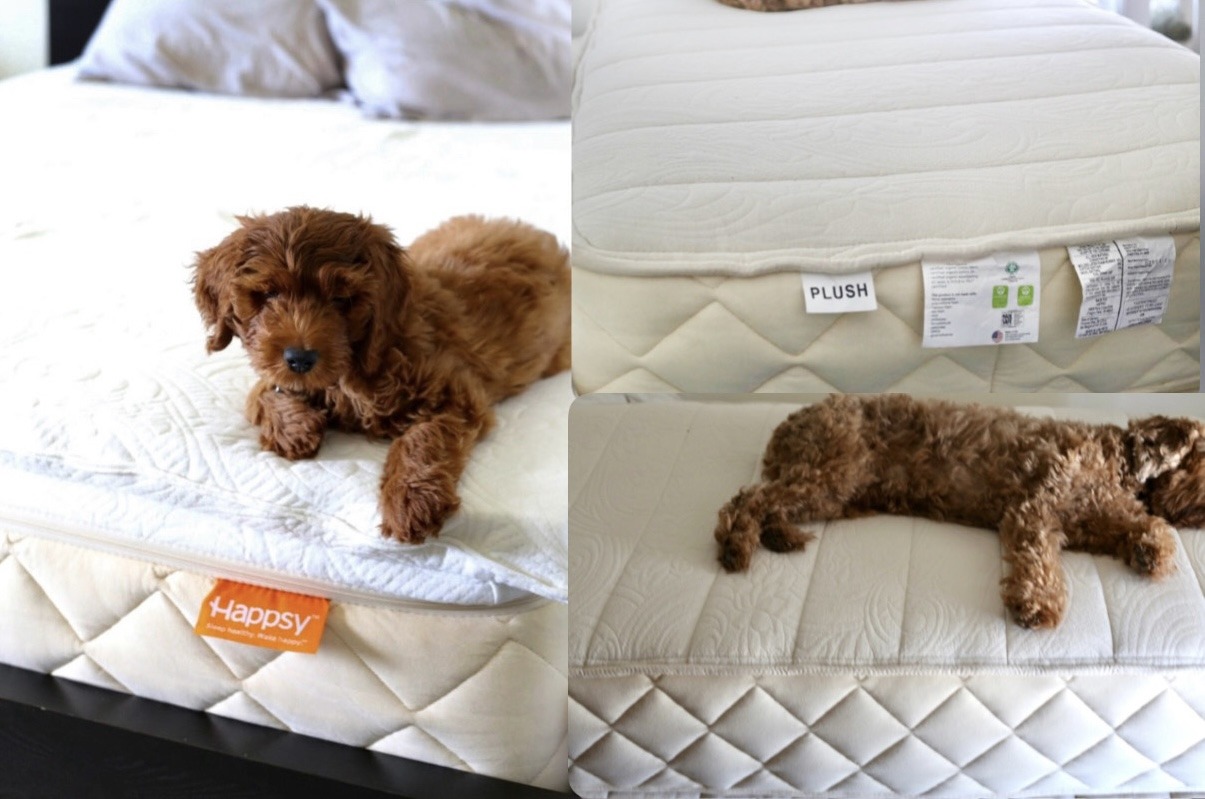 affordable Happsy Mattress in Queen (left) and Twin (right)