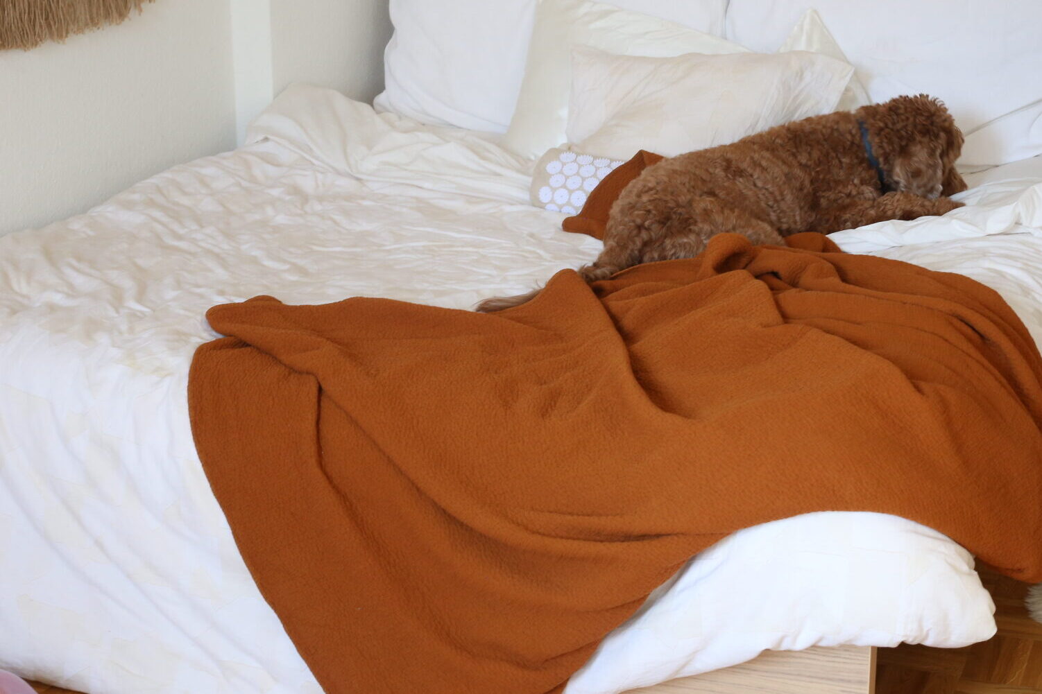 Coyuchi Organic Cotton Percale Duvet Cove