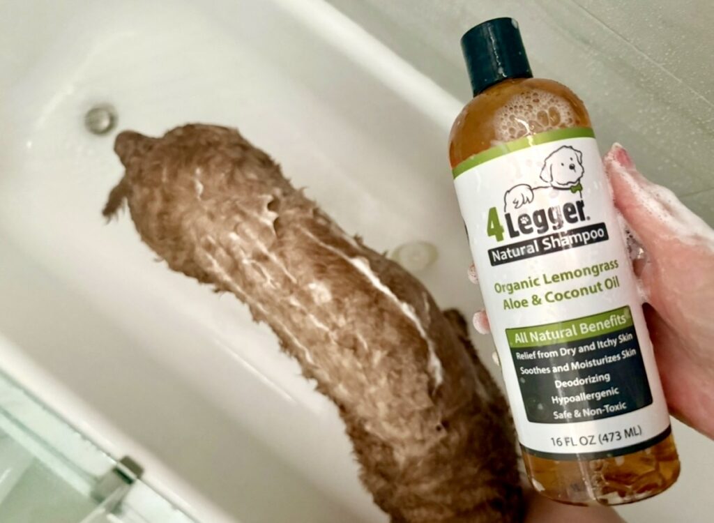 natural dog shampoo 4-Legger Organic Lemongrass & Aloe Dog Shampoo