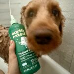 natural dog shampoo non toxic clean organic pet