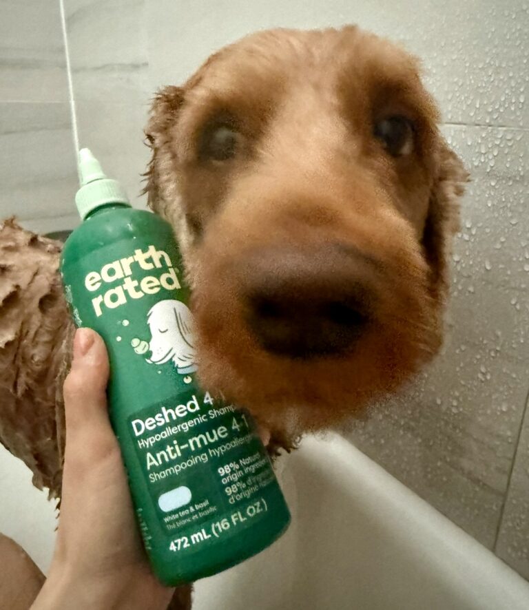 natural dog shampoo non toxic clean organic pet
