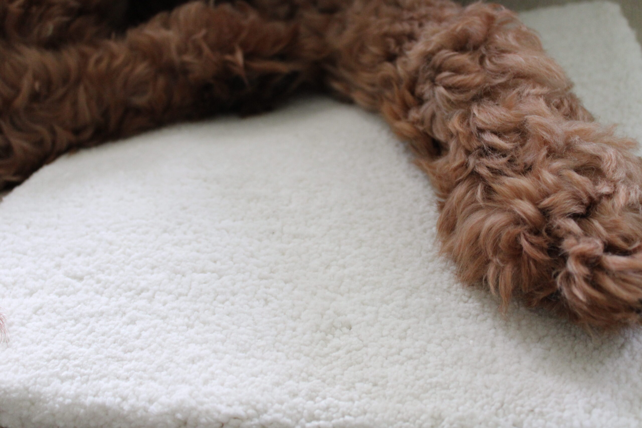 organic cotton rug organic weave solid strie