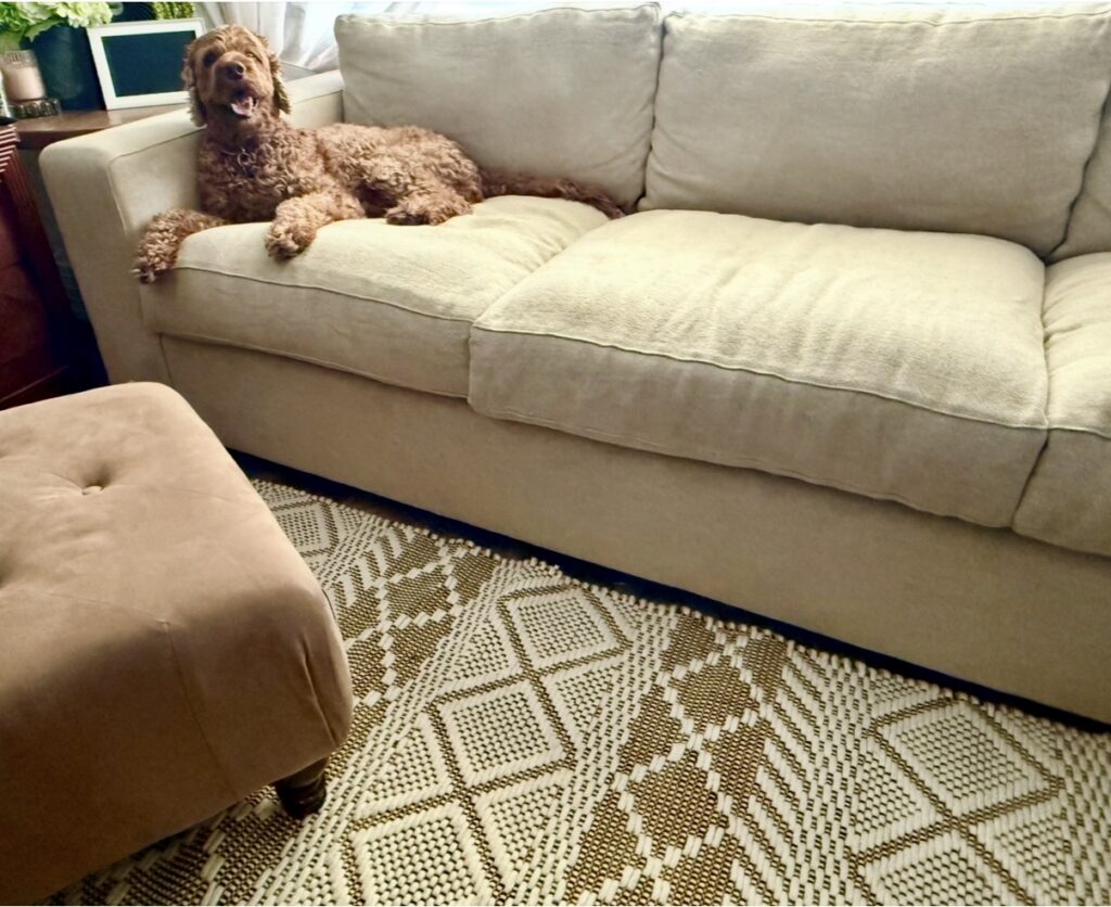 wool rug and medley organic couch Rio Grand Sofa