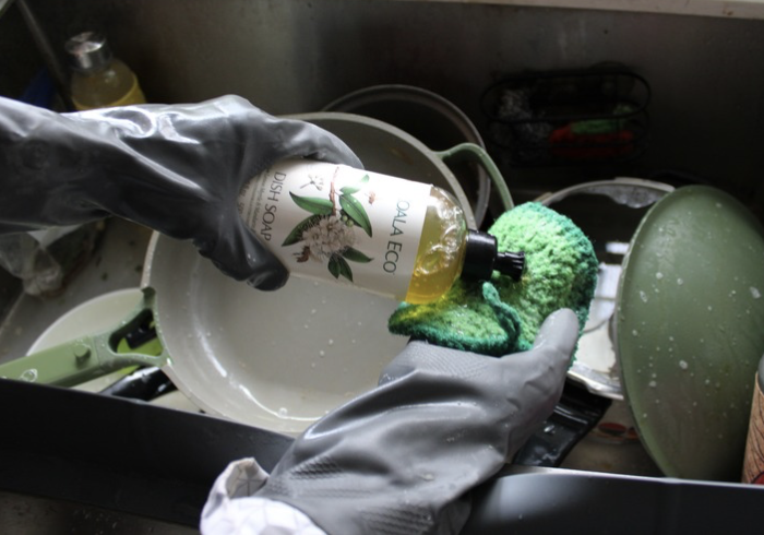 nontoxic dish soap